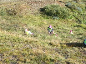 1. bekkur í berjamó