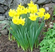 Páskafrí og aukafrí eftir páska