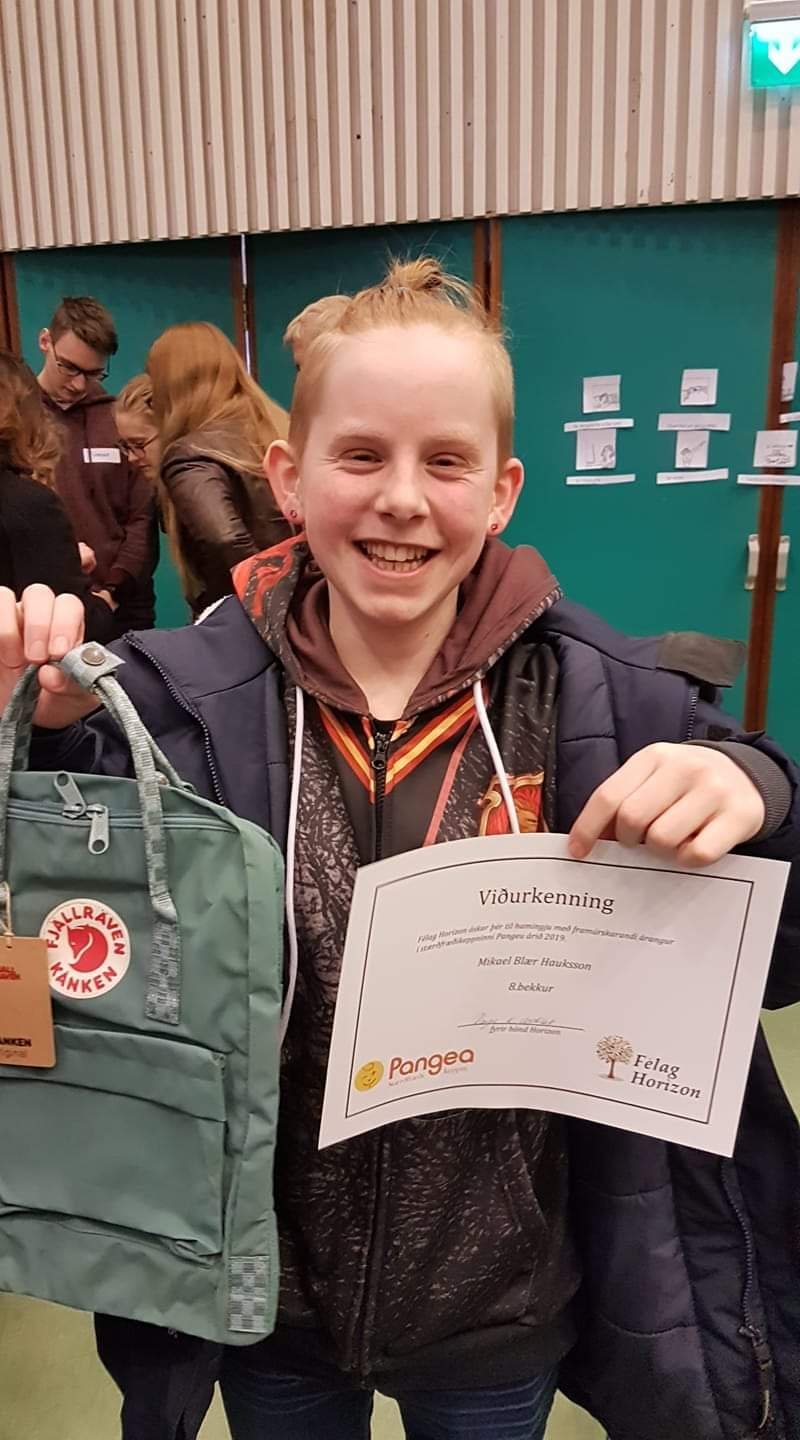 Mikael Blær í 3. sæti Pangea stærðfræðikeppninnar