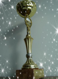 Leitin að grenndargralinu 2010