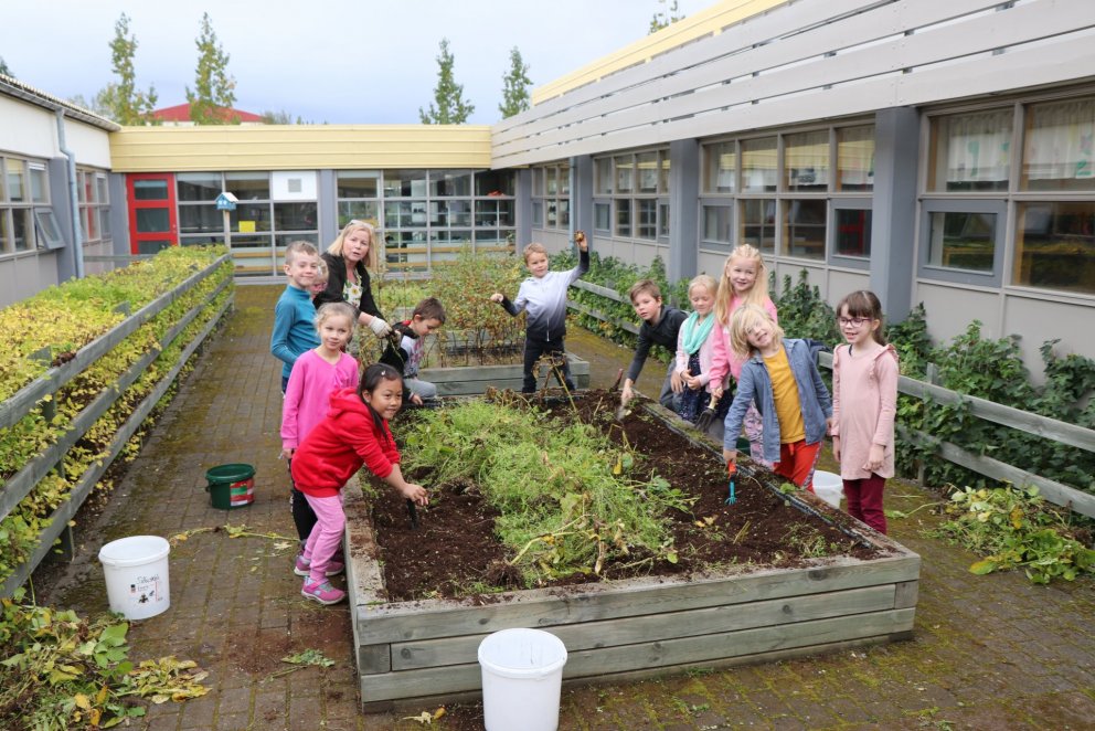 Uppskeran góð hjá 2. bekk.