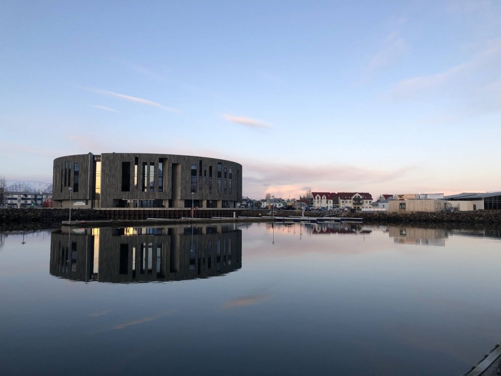 Stúlkan í turninum.