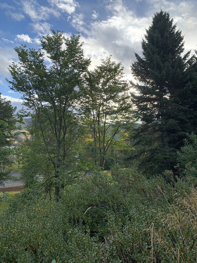 Dagur íslenskrar náttúru