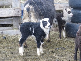 Gönguferð í veðurblíðunni