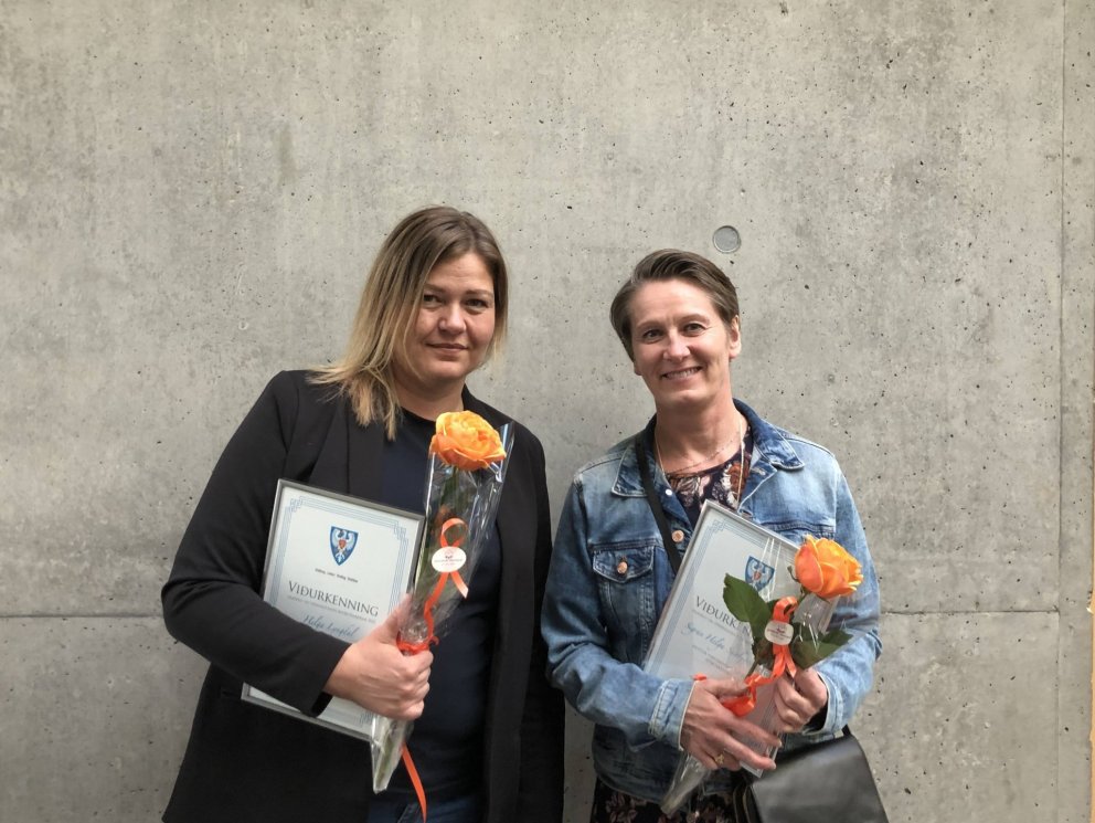 Viðurkenningar fræðsluráðs