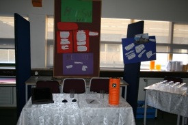 Starfskynning 8. bekkjar