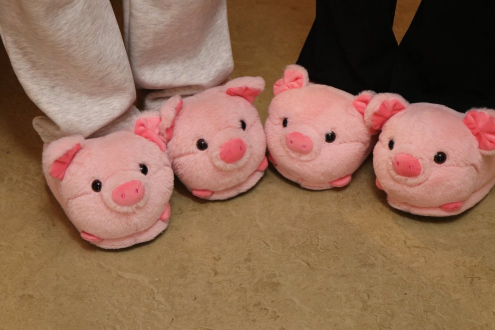 Bleiki dagurinn í Síðuskóla