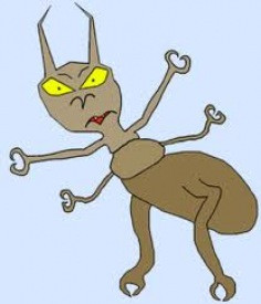 Lús í skólum Akureyrar og nágrennis