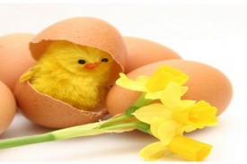 Páskar og páskaleyfi