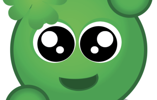 Lestrarormur Síðuskóla