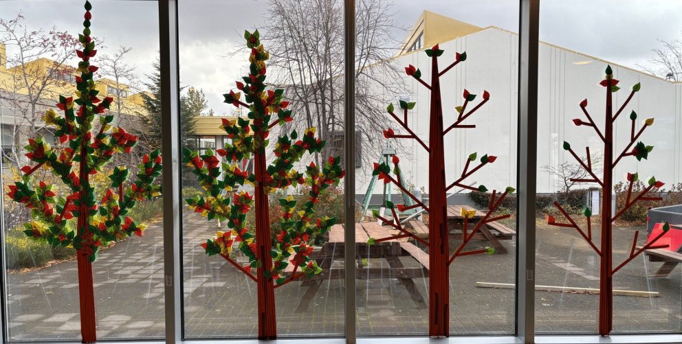 Lestrarlundur Síðuskóla