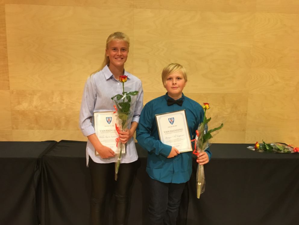 Viðurkenningar til nemenda árið 2017.