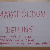 Í íþróttasalnum var m.a. margfaldað, deilt og fundið meðaltal.