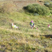 1. bekkur í berjamó