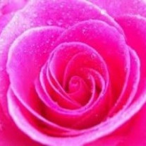 Bleikur dagur 13. október