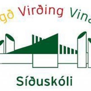 Þemadagur og UNICEF góðgerðarhlaup