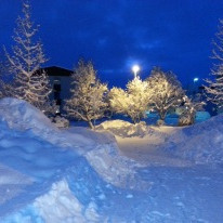 Fallegt janúarveður