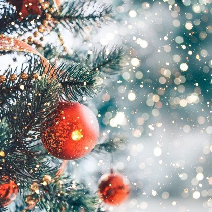 Jólakveðja frá Síðuskóla