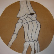 Líkami mannsins - 7. bekkur