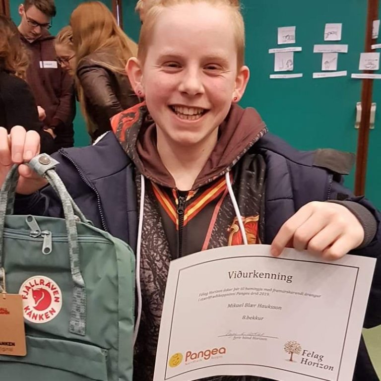 Mikael Blær í 3. sæti Pangea stærðfræðikeppninnar