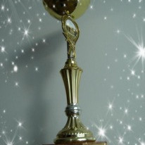 Grenndargralið í Síðuskóla