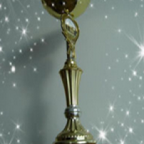 Leitin að grenndargralinu 2010