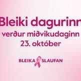 Bleiki dagurinn 23. október 2024