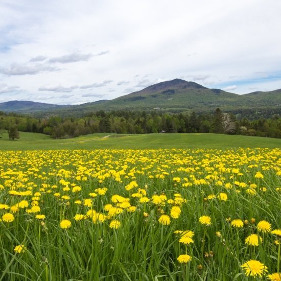 Skólaslit Síðuskóla vorið 2019