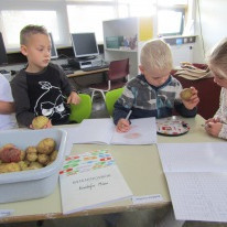 Náttúrufræði í 2. bekk