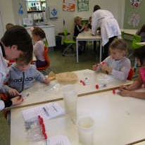 Vísindakynning í 1. bekk