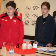 Náttúrufræði 9. bekkur