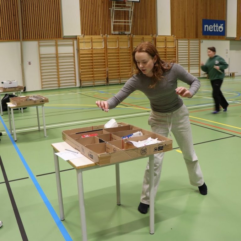 Flokkunarkeppni Síðuskóla