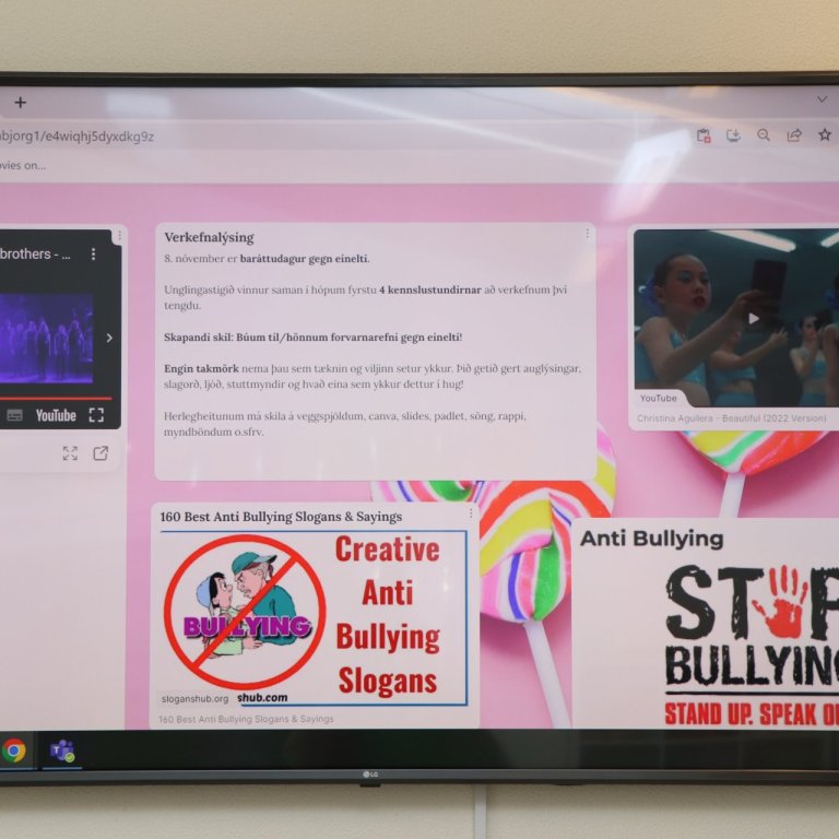 Baráttudagur gegn einelti