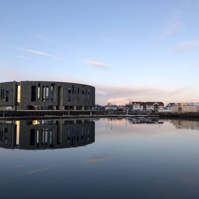 Stúlkan í turninum.