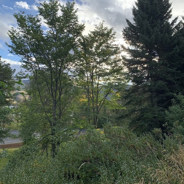 Dagur íslenskrar náttúru