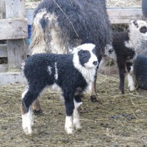 Gönguferð í veðurblíðunni