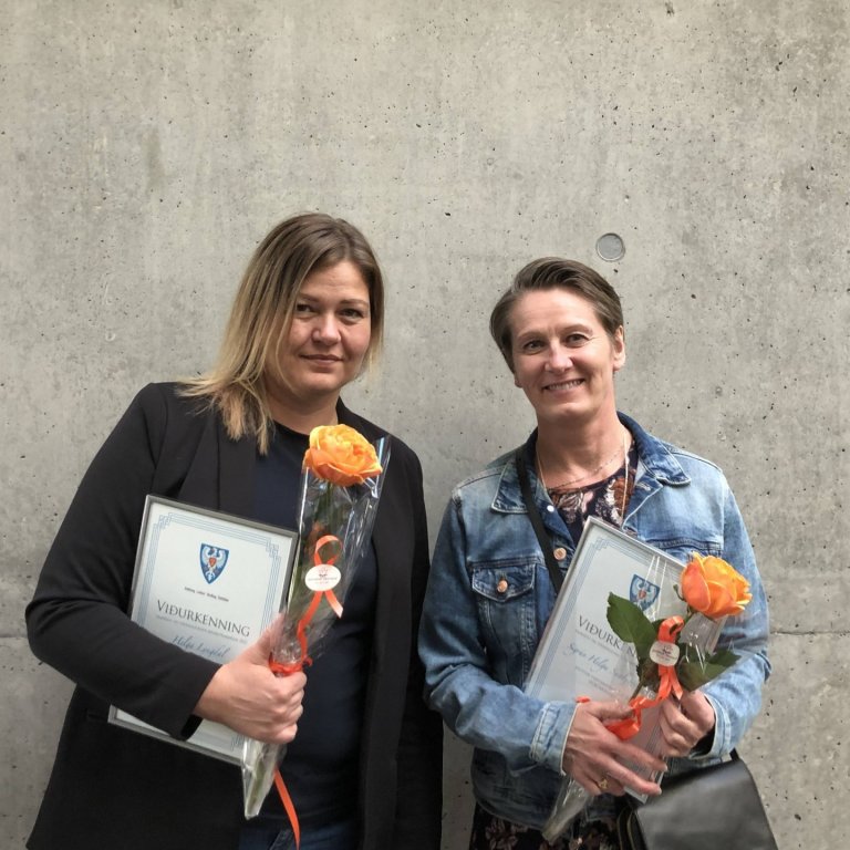 Viðurkenningar fræðsluráðs