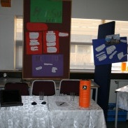 Starfskynning 8. bekkjar