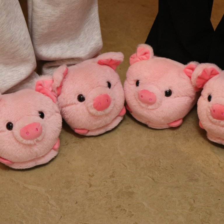 Bleiki dagurinn í Síðuskóla