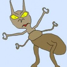 Lús í skólum Akureyrar og nágrennis