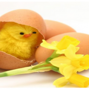 Páskar og páskaleyfi