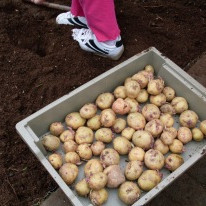 Vorverkin í 1. bekk