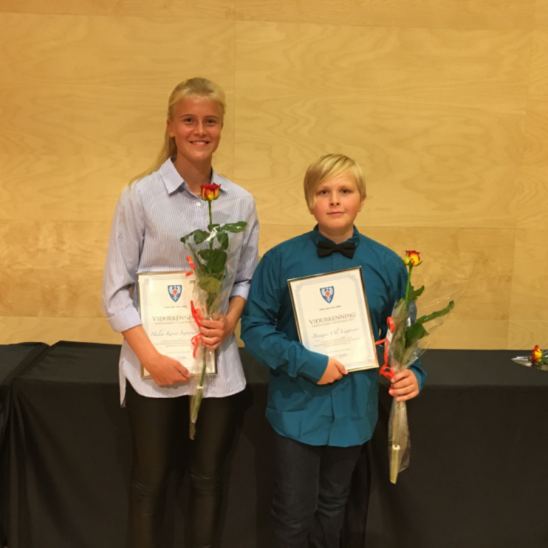 Viðurkenningar til nemenda árið 2017.